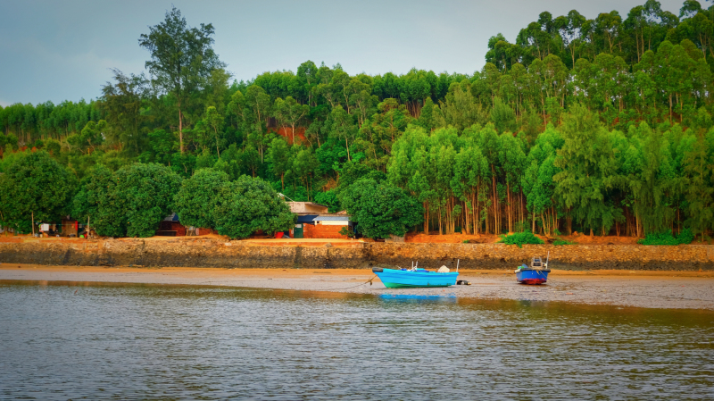广东湛江旅游攻略赶海,湛江海边旅游攻略推荐地方