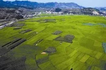 秋天地里的秸秆怎么用,秸秆如何利用给你支招