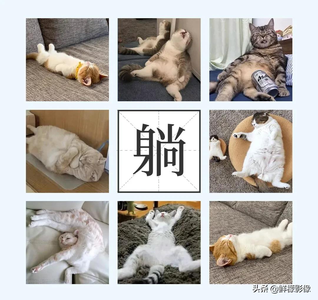 当代佛系青年的反内卷，从“轻”拍婚纱照开始