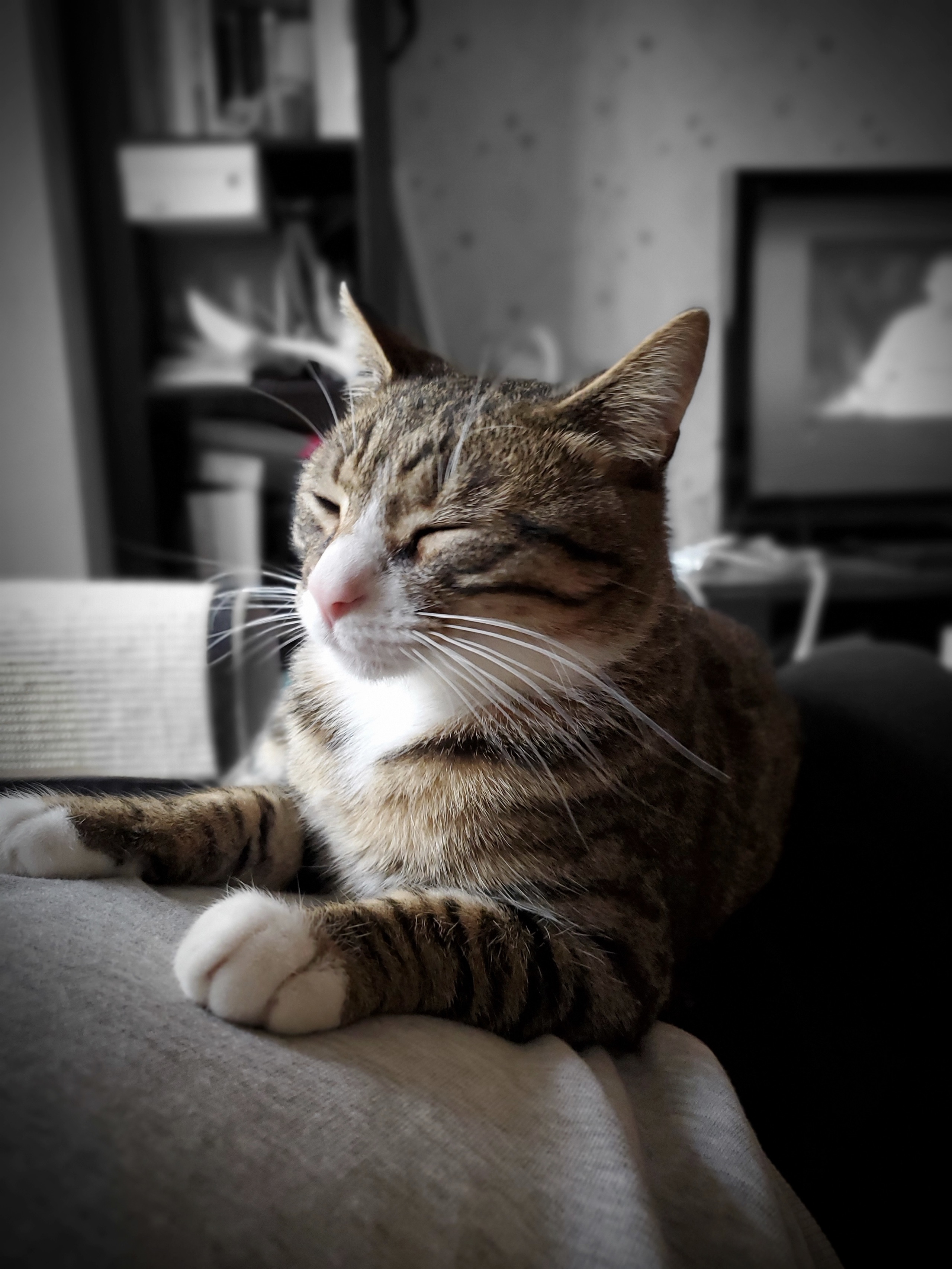 三星s10+现在还值得买么 (现在三星s10+还值得入手吗)