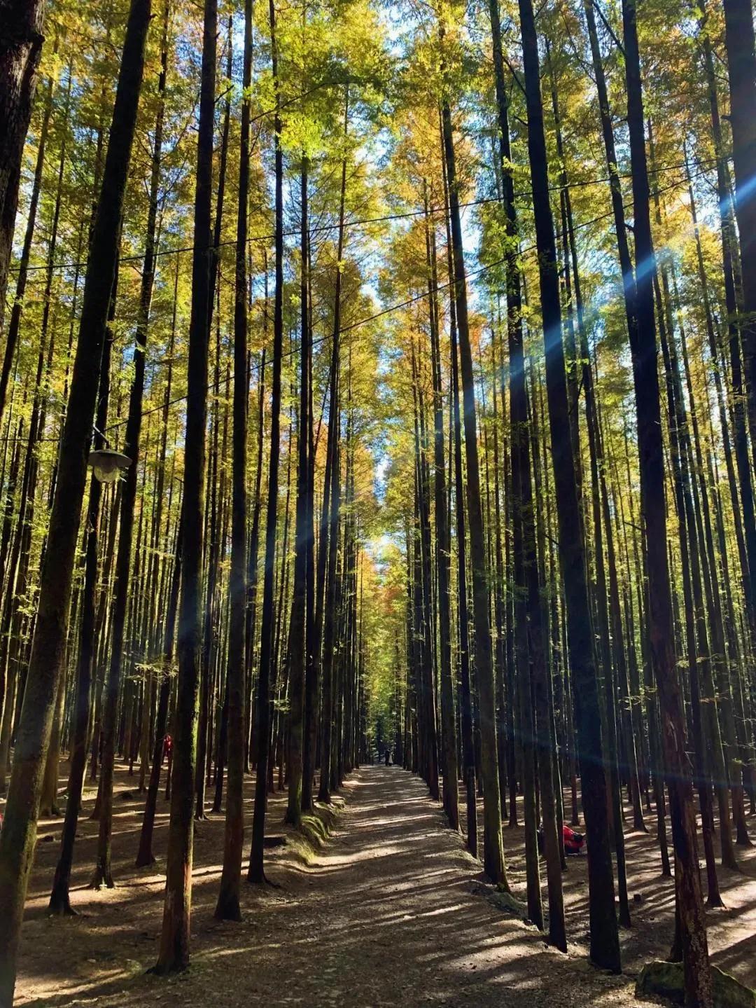 重庆周边旅游1-3天攻略最佳线路,重庆小众但绝美的旅游地点