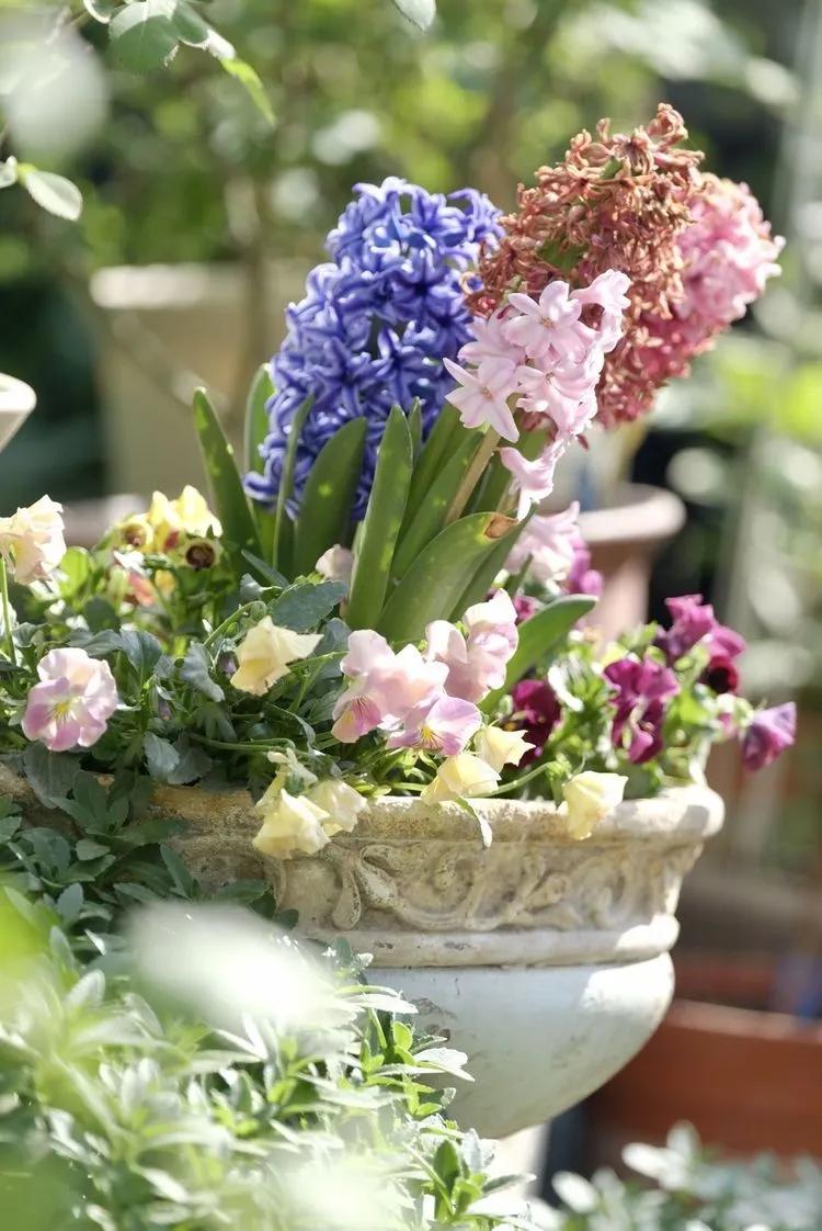 三年前买了套绿地110平三房130万,三年前耗资百万打造小院出售