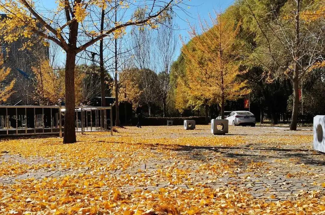 辽宁省普通高等院校,辽宁省沈阳本科大学