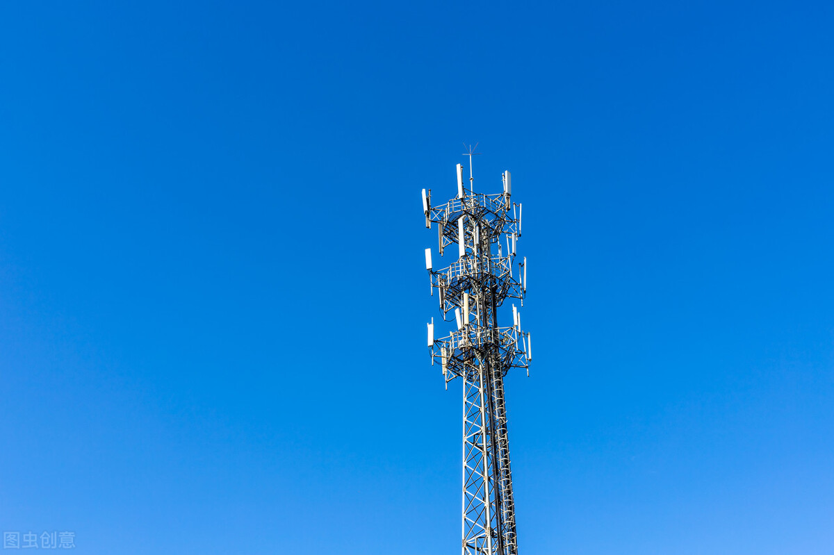 航拍信鸽归巢视频,赛鸽归巢后怎么看