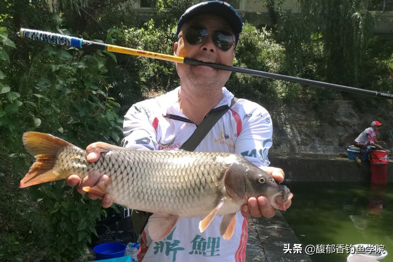 麻团颗粒钓什么鱼,麻团颗粒钓底钓浮