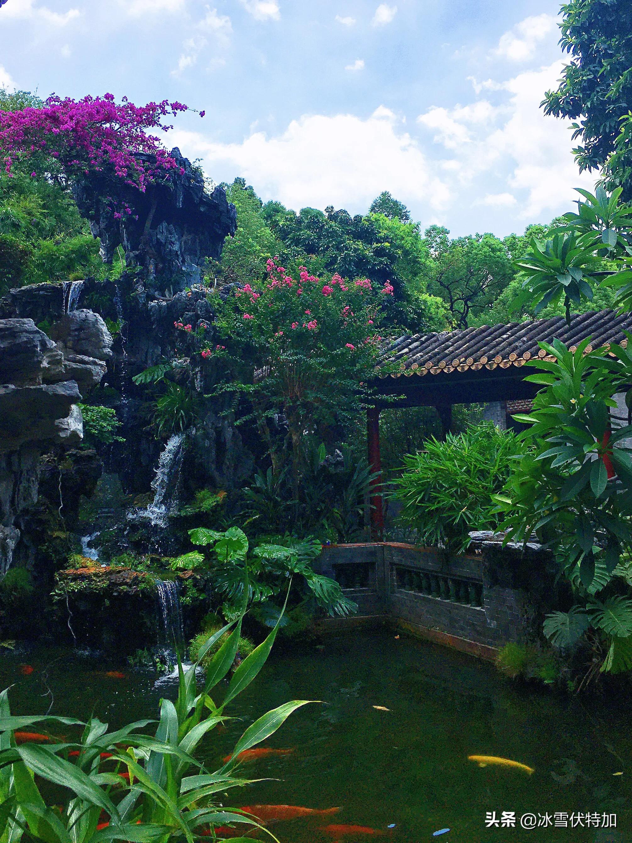 广州顺德美食一日游攻略,广东佛山一日游攻略