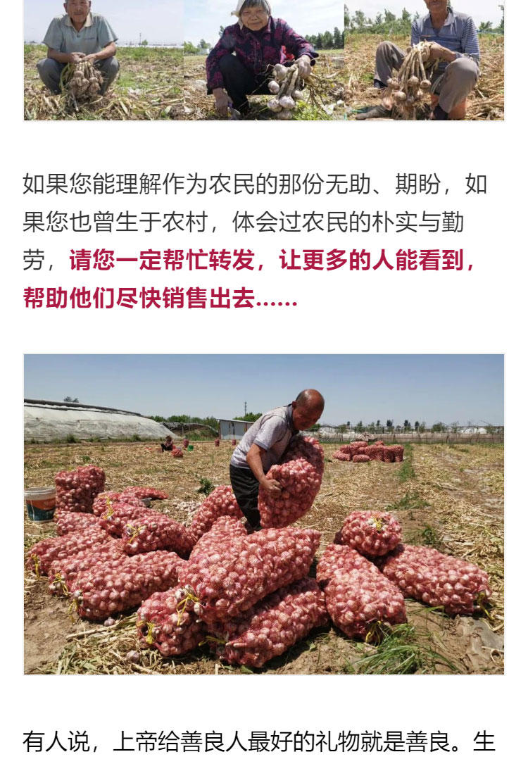 鍔╁啘鐧惧崄涓囦憨婊為攢澶ц挏,绱毊澶ц挏椴滆挏鍔╁啘5鏂よ