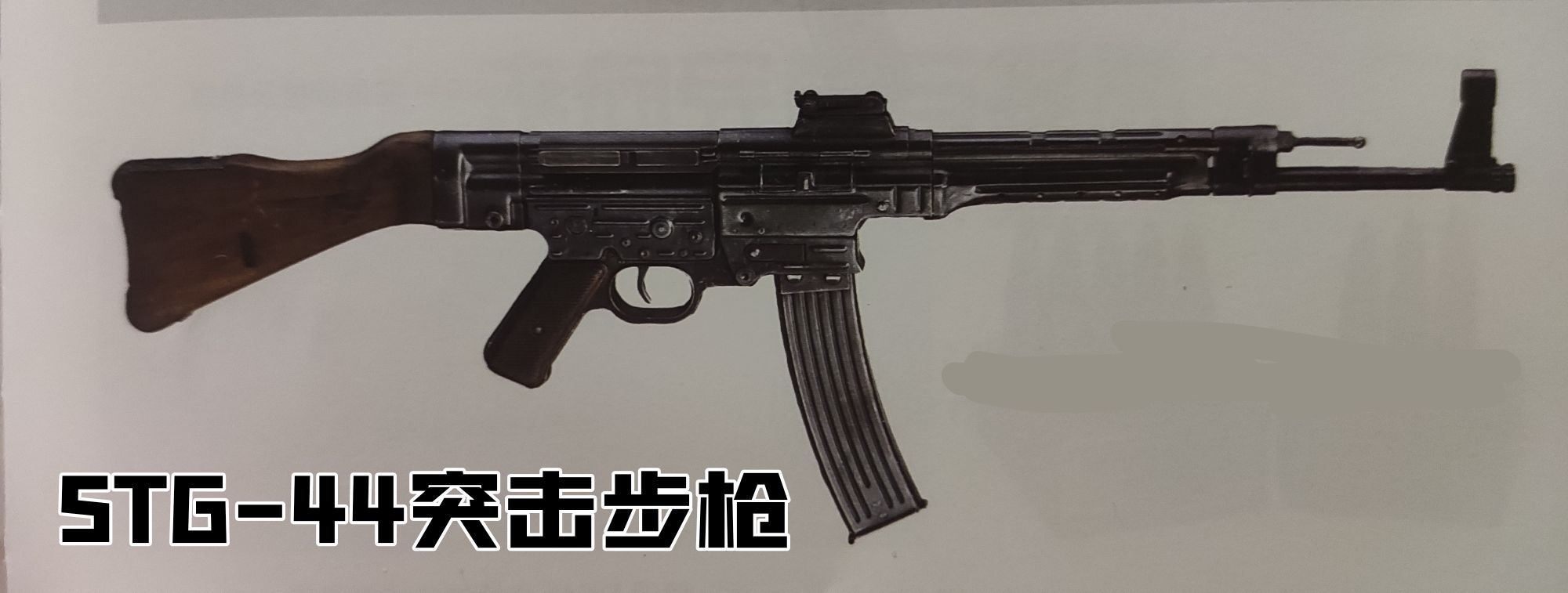 德国1930年的老枪,德国18世纪剑枪图片