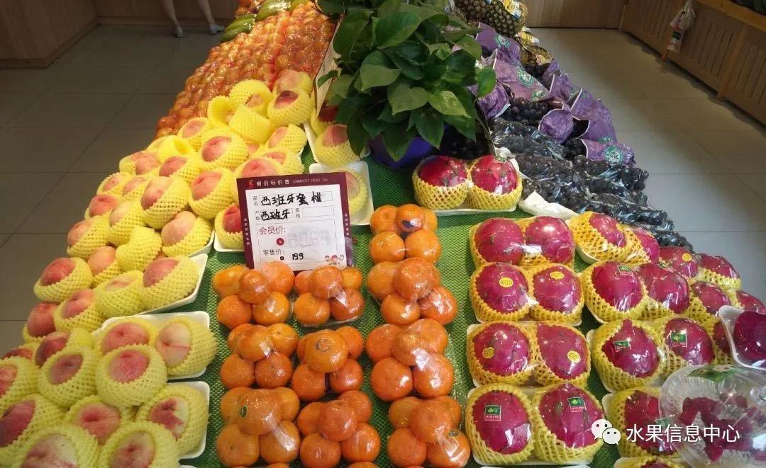 长沙高档水果店连锁加盟多少钱,自己开水果店和加盟哪个比较好