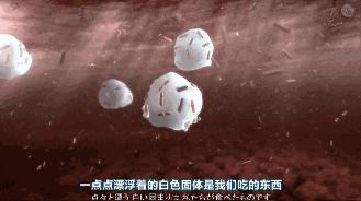 一天到晚放屁都是臭屁吃什么药,经常放屁臭屁又多怎么回事