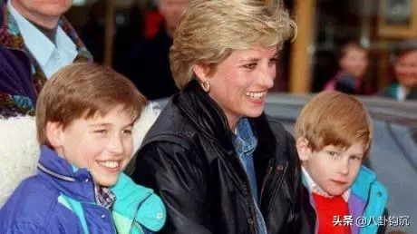英国王室是怎样赚钱的,英国王室家庭收入