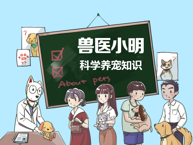 狗狗突然尿尿变得频繁不能憋尿,狗狗憋尿一整天会影响健康吗