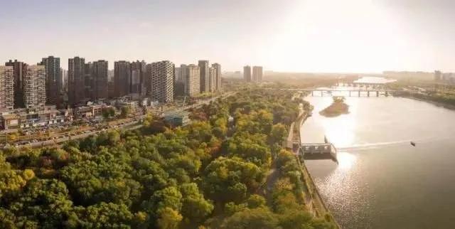 大金链小手表怎么样,大金链子小手表有用吗