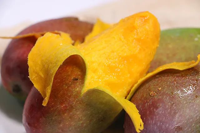 好的芒果怎么挑,学会这3个技巧再也不怕选错了