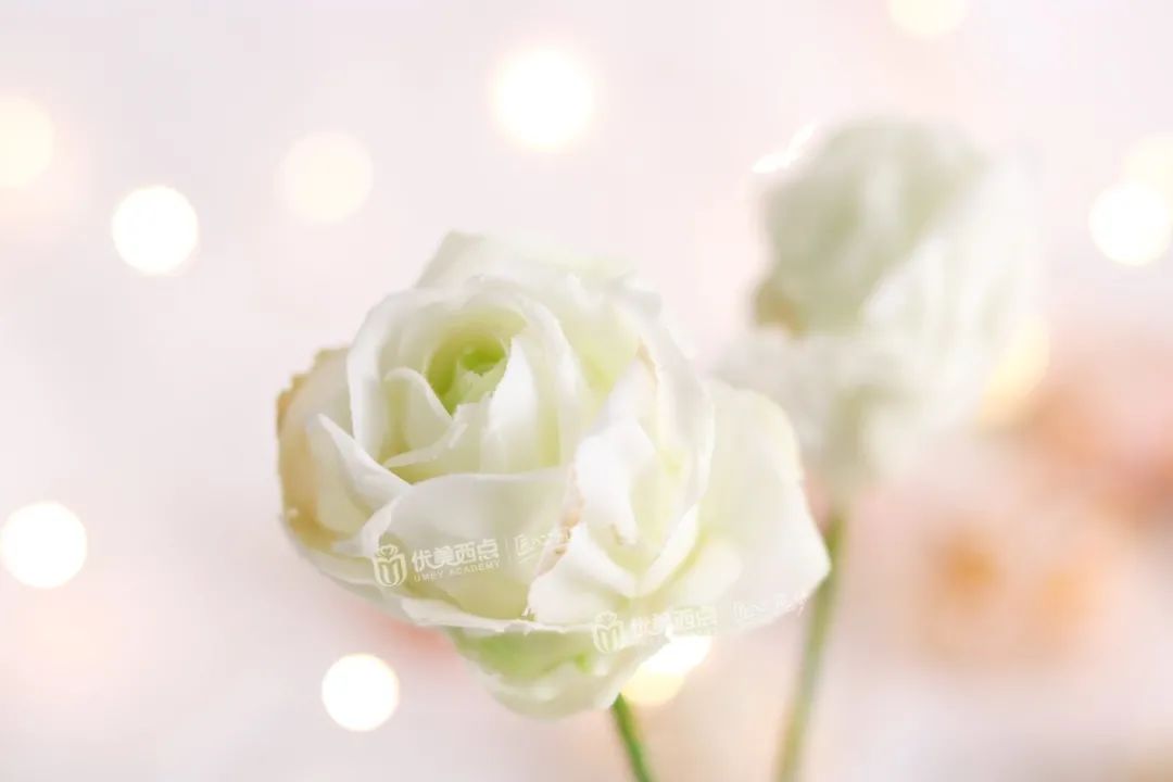 想转行学西点看你要学哪些,转行西点去哪里学最好