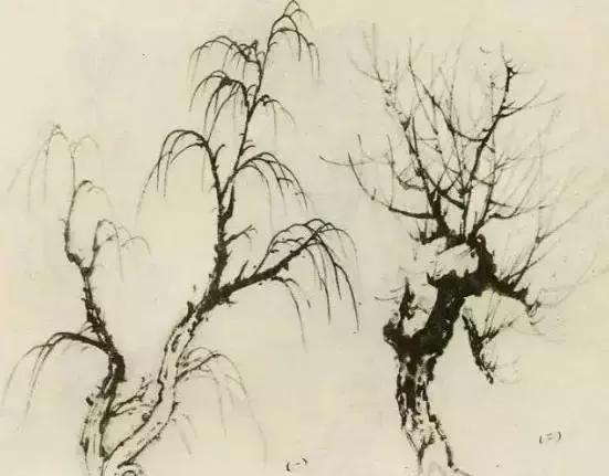 缠枝、挺杆、屈节、钮裂、一棵树如何画？看了这篇你绝对能学会