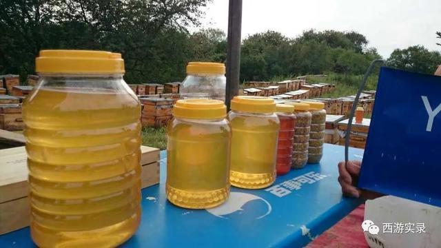 自驾环游世界第一人,一次连续跨越五大洲20万公里吉尼斯世界纪录