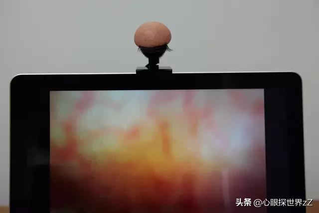 日本妹子设计的*体器人官**电器,有点重口味了吧…