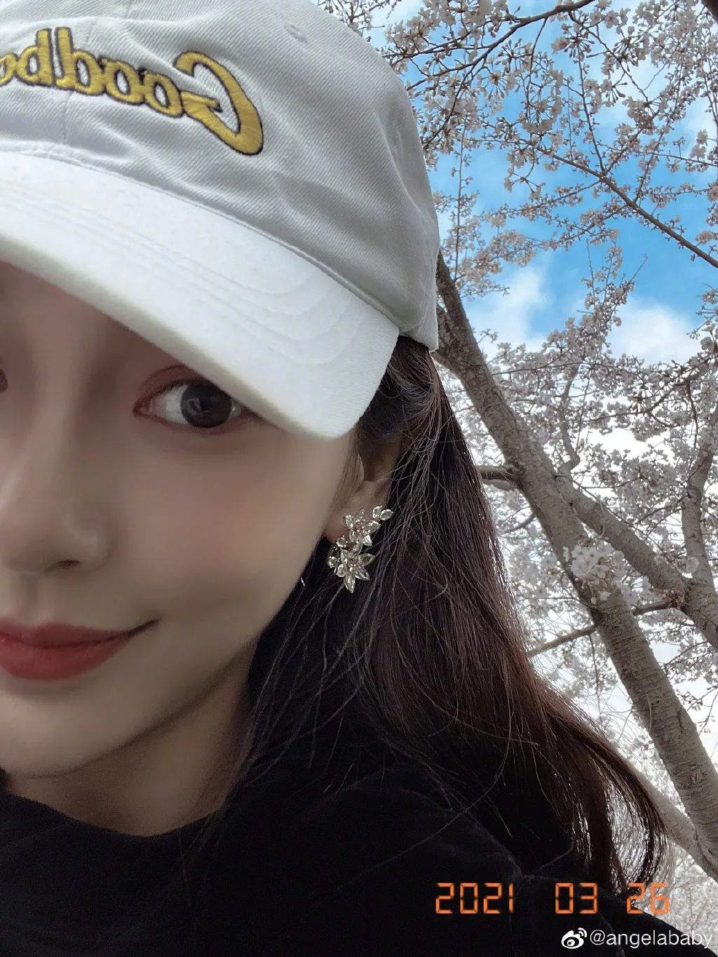 杨颖樱花与精灵妆拼图,刘嘉玲樱花美照