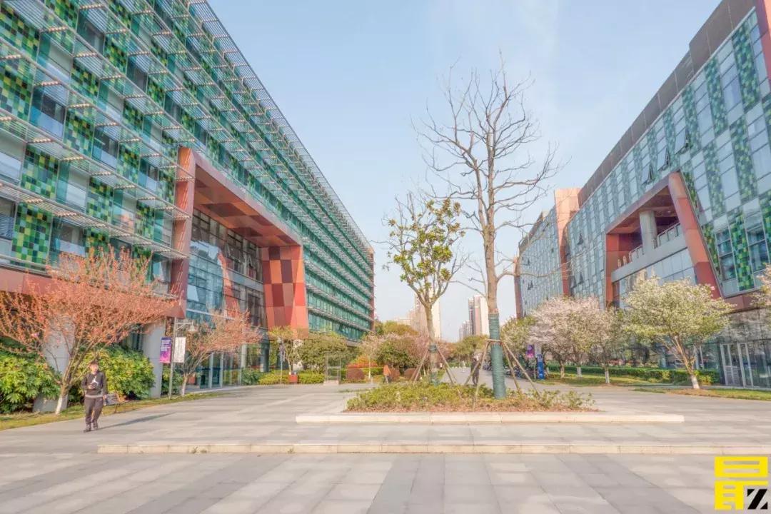 西交利物浦苏州校区,苏州西交利物浦美女