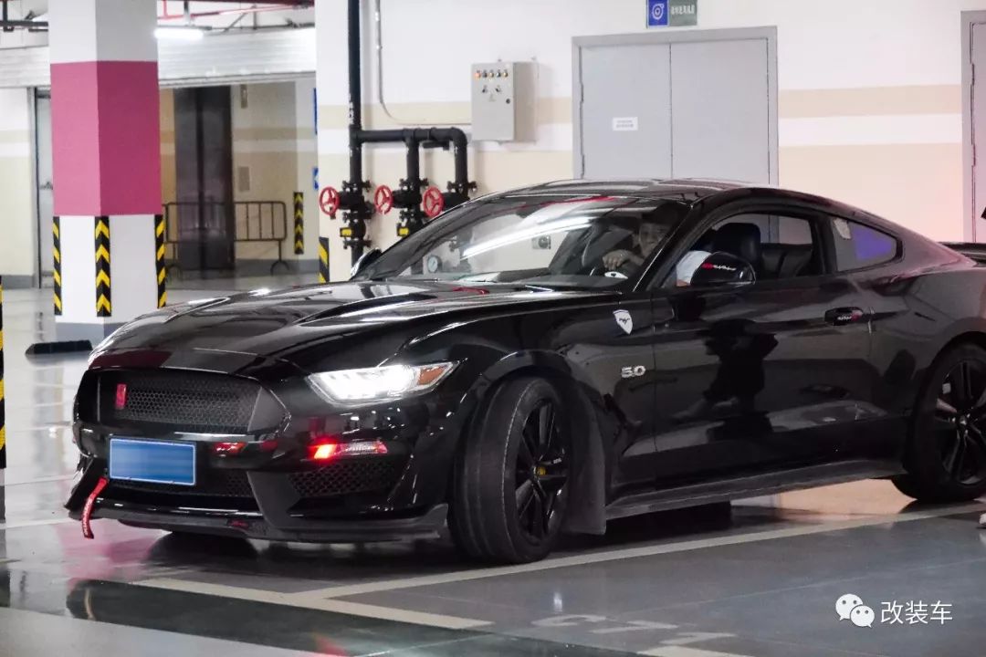 福特mustang杭州,杭州福特野马车友会