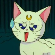 十大名猫动漫,动漫排行榜前十名京剧猫