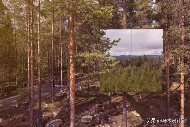 森迪部落树屋酒店,浙江树屋酒店