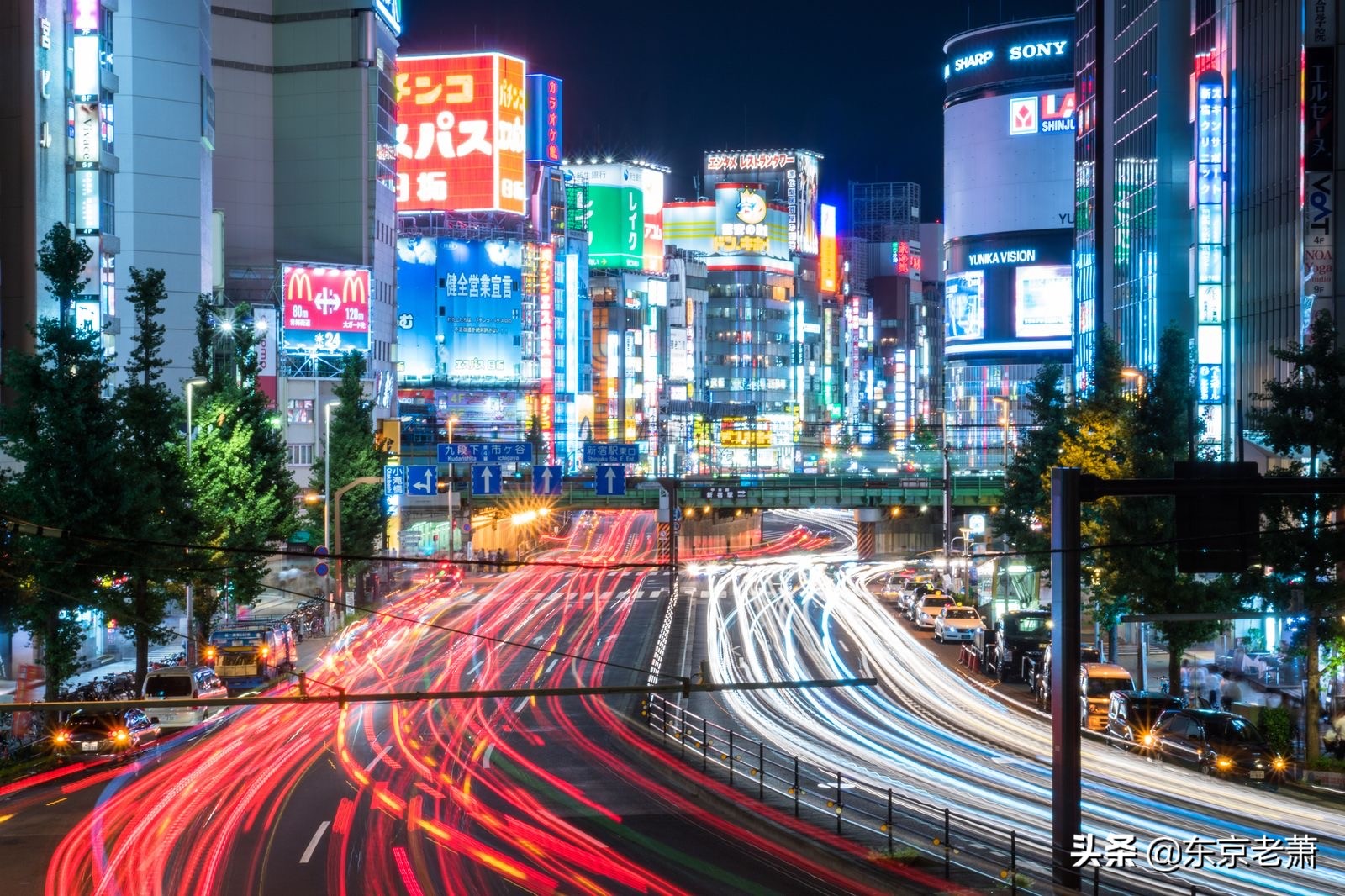 十年东京华人老炮解析——东京23区图鉴