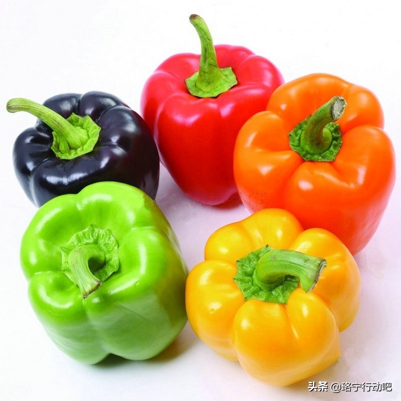 富含维生素c的减脂食物,维生素c减肥的食物