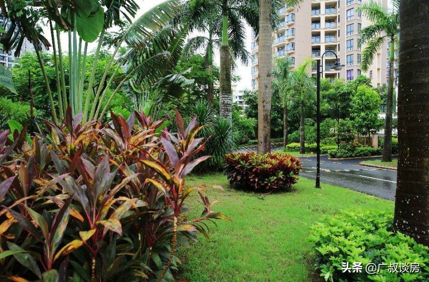 佛山楼市：热门板块投资性价比排行！看完心里就有底了