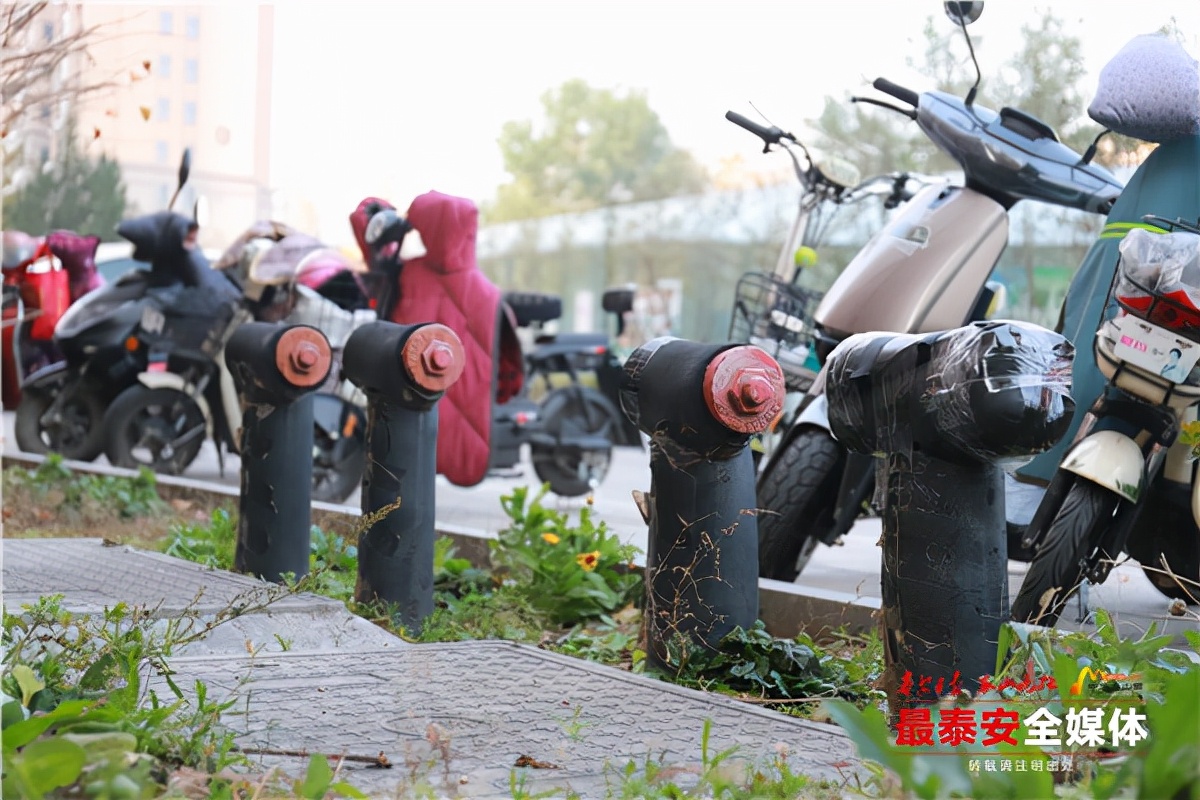 我为群众办实事促进城市文明建设,我为群众办实事居家服务暖民心