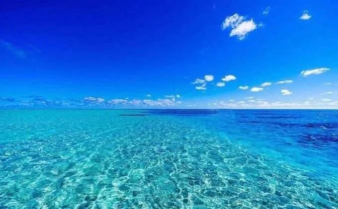 “面朝大海，春暖花开”的作者海子，什么才是他自杀的真正原因？