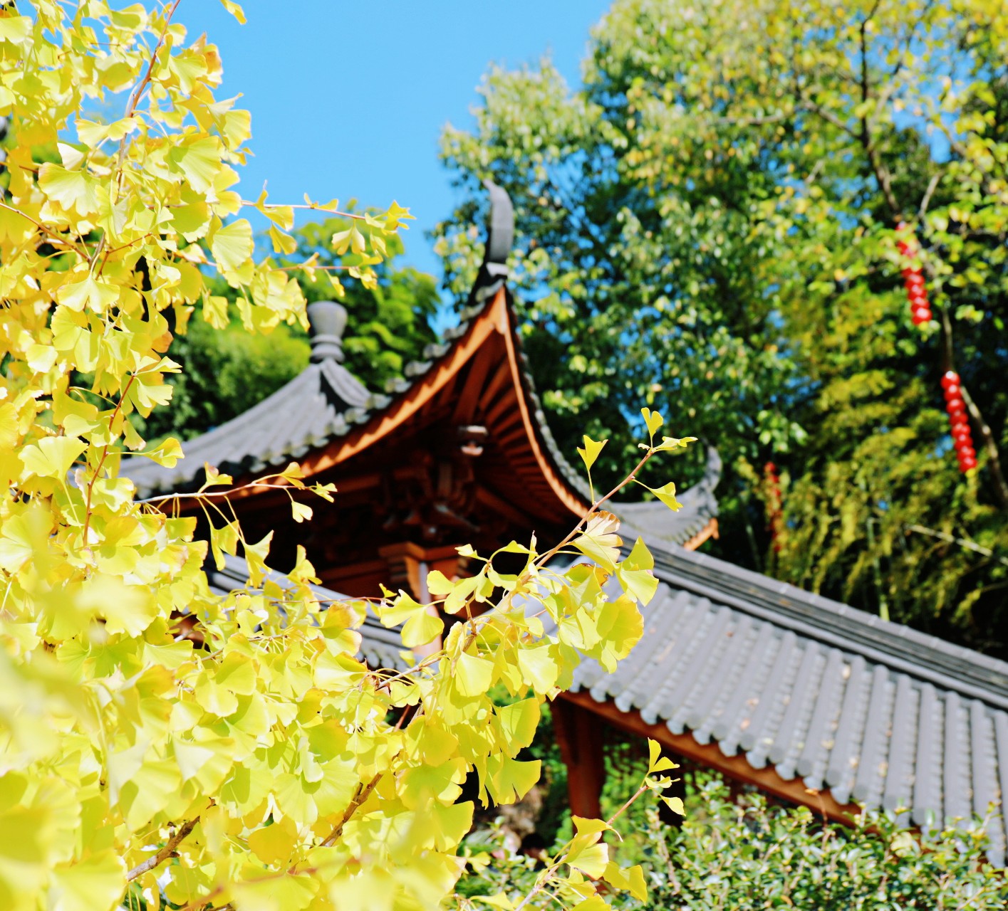 杭州最值得买的纪念品,杭州最值得去的寺庙