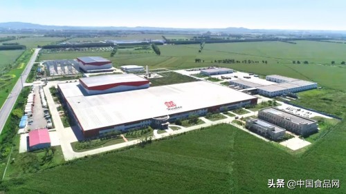 辉山乳业酸奶,辉山乳业十天酸奶最新包装