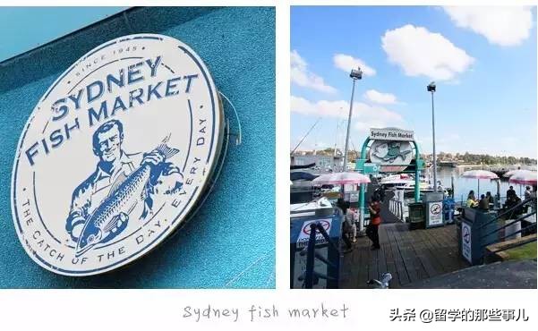 澳大利亚有哪些旅游胜地,澳大利亚有什么好玩的免费景点