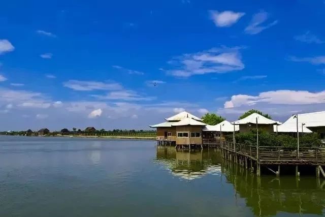 干货丨在广州来这拍照就对啦,制霸朋友圈从今天开始