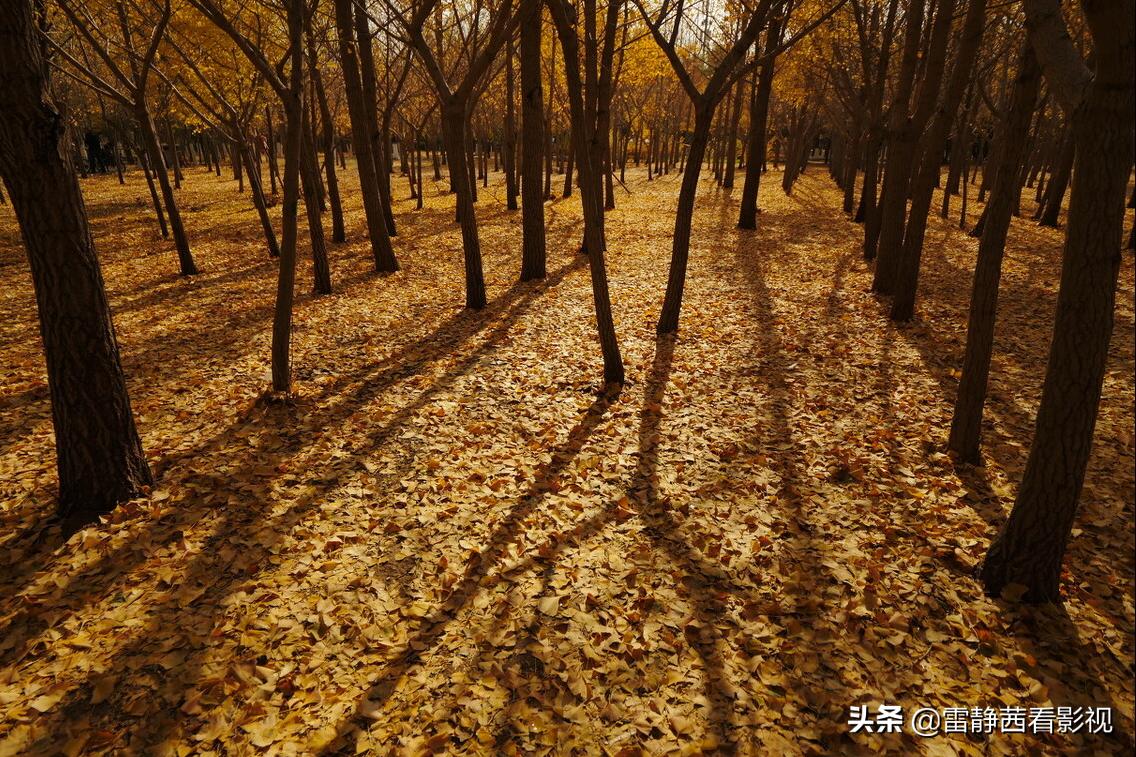 玩笑话其实才是需要认真听的,以玩笑的方式说着真心话怎么表达