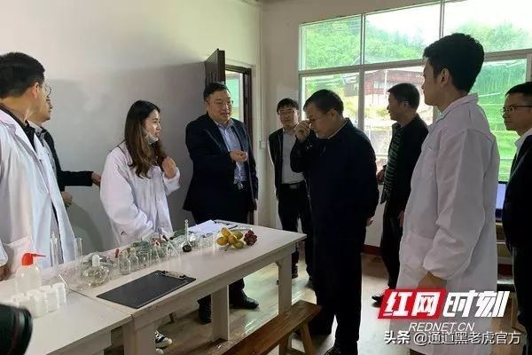 被省委书记惦记的通道小伙,正带村民种山果致富(转载)