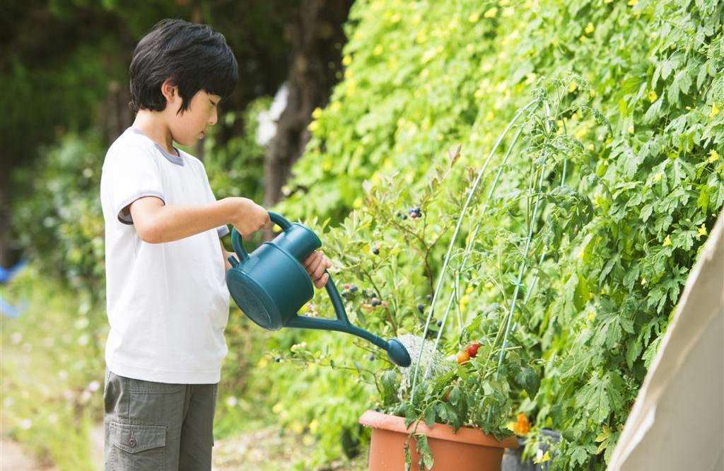 什么是快乐教育孩子,给孩子的快乐教育有哪些