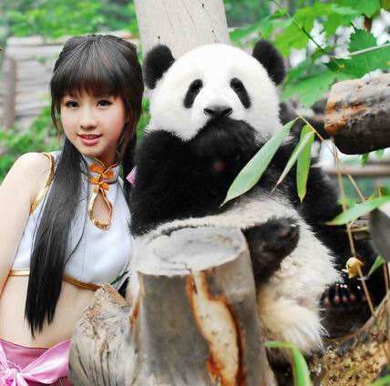 国外拿这些动物cos大熊猫！租不到大熊猫，外国人也有办法！