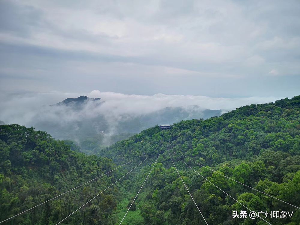 飞越云台山门票,飞跃白云山景区