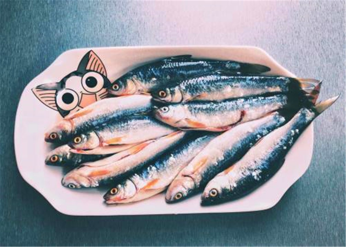 辟谣，猫咪也会被鱼刺卡喉咙，避免伤害只需做到：拒喂鱼骨