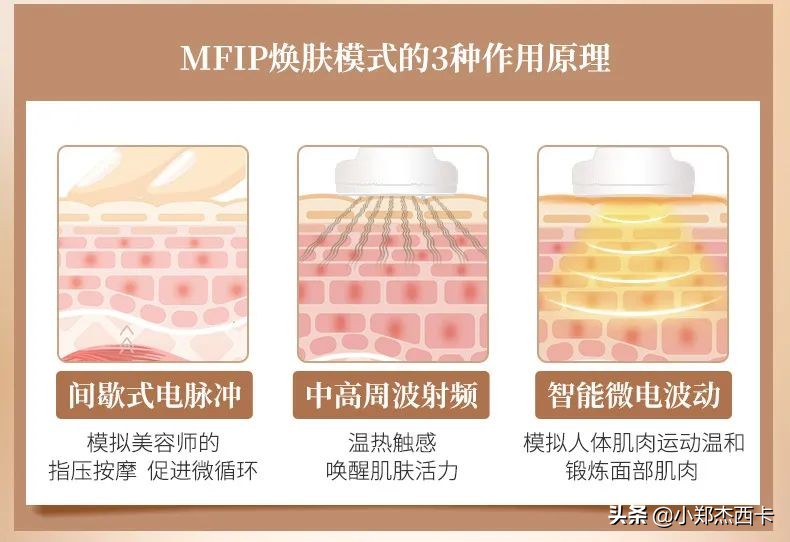 宁静张雨绮大张伟解密,宁静张雨绮黄龄