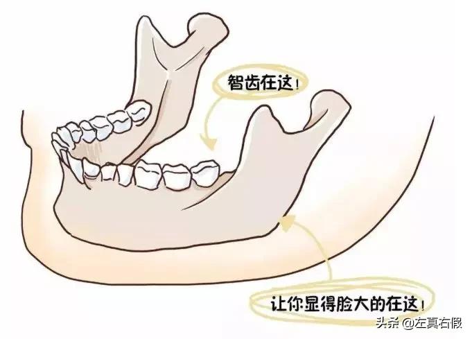 推荐最有效的瘦脸霜,最有效果的瘦脸霜