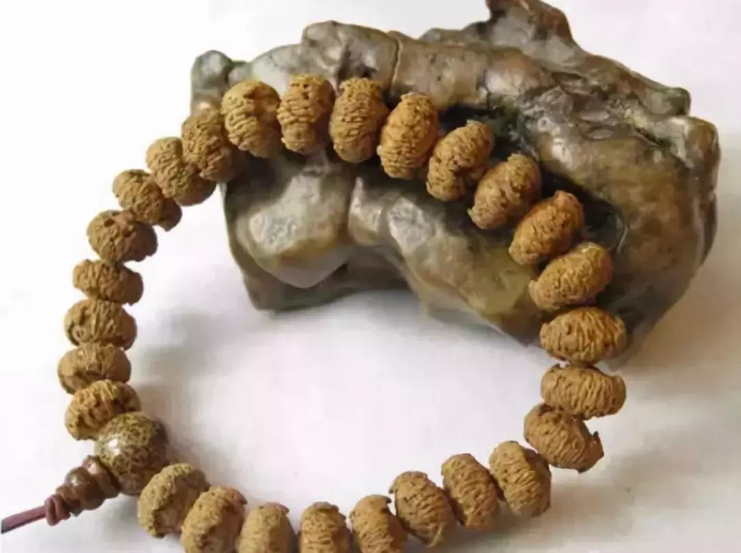 所有菩提手串大展示,菩提手串大全视频