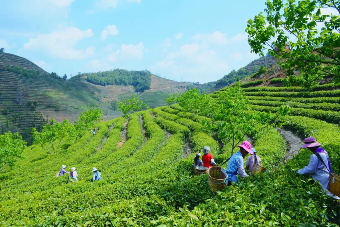 保山有魅力的地方,云南保山有多迷人