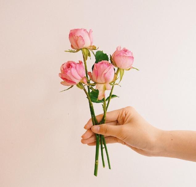 教师节祝词桃李满园,教师节桃李开满园