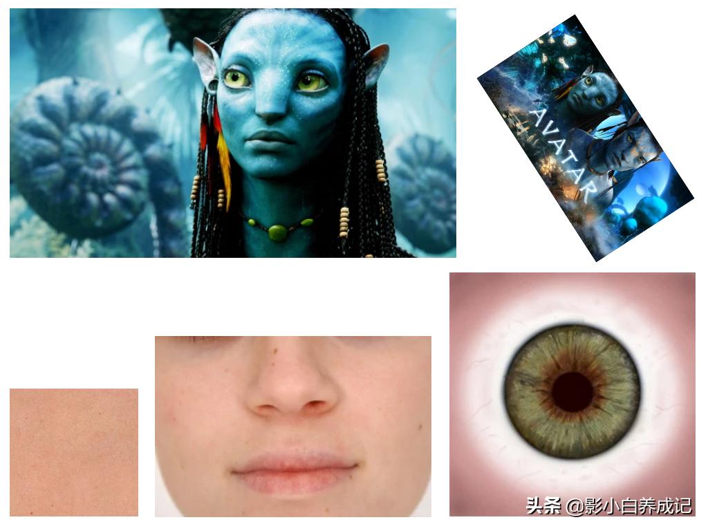 潘多拉怎么改成ap模式,潘多拉的世界