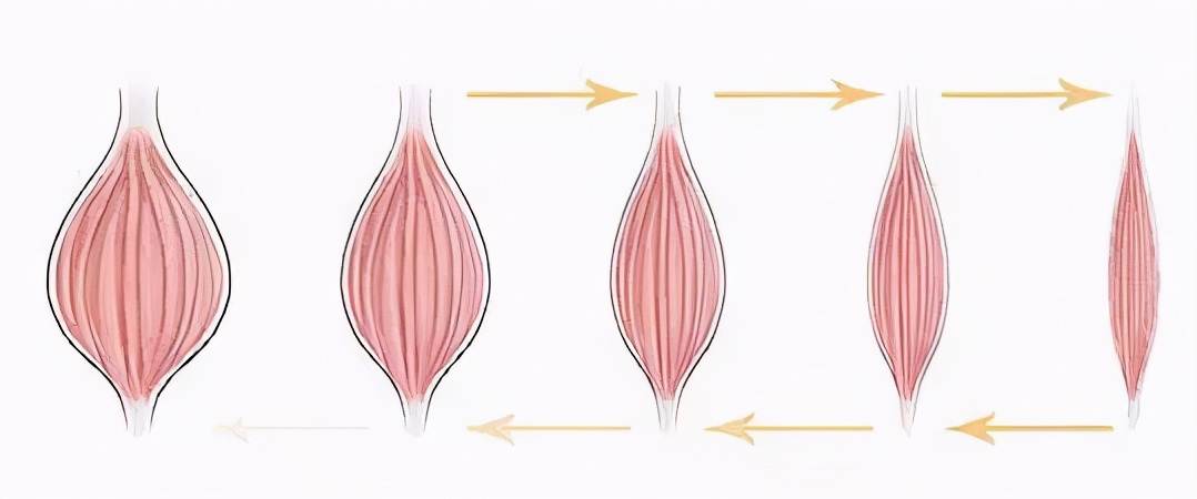 微整形瘦脸的小知识,面部微整形瘦脸方法