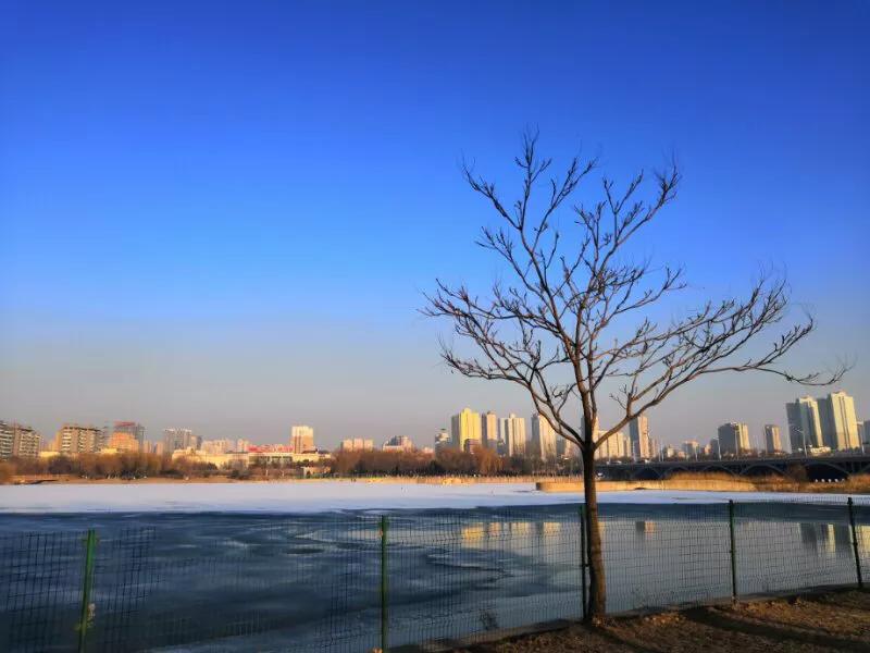 手拍世界,手拍世界近期作品